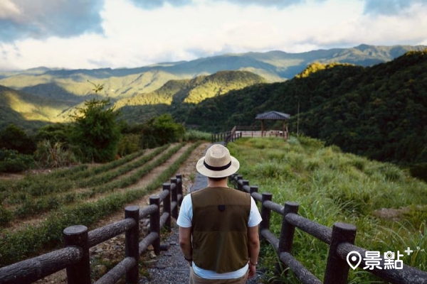 茶園山嵐盡收眼底！南山寺獅公髻尾山步道低難度美景健行