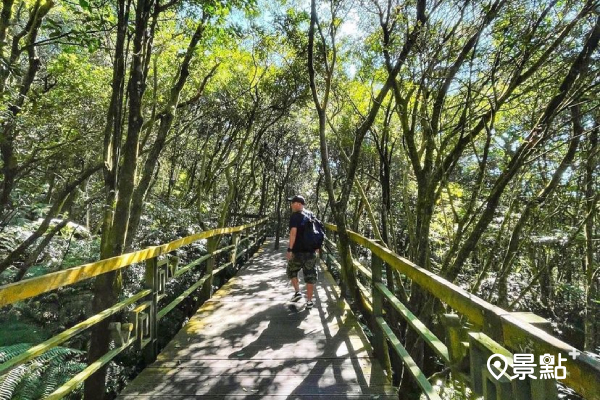 賞美景親山好走週末好去處！低難度大崙山頭尾山步道