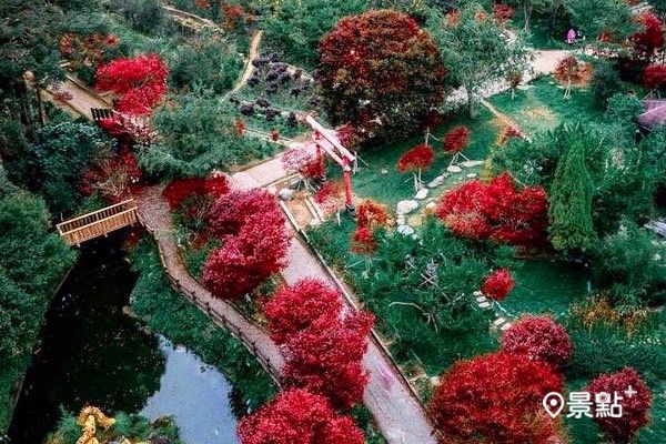 紅葉季節是賞楓、賞金黃銀杏與水杉的好時機。（圖 / tw.luoyin)