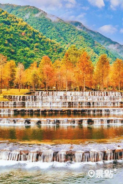 落羽松點綴的三層坪農塘搭配山巒為背景，隨便拍都像是明信片般。 (圖／x.x.x_diddy)