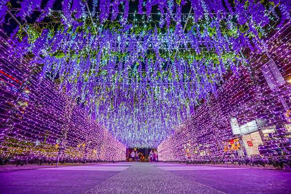 夜間點燈的「紫藤光廊」。