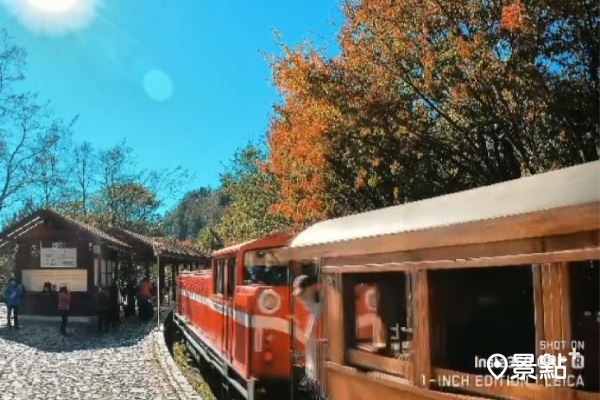 蒸汽附掛檜木列車，行經有臺灣最美紅葉鐵道之稱的祝山線。