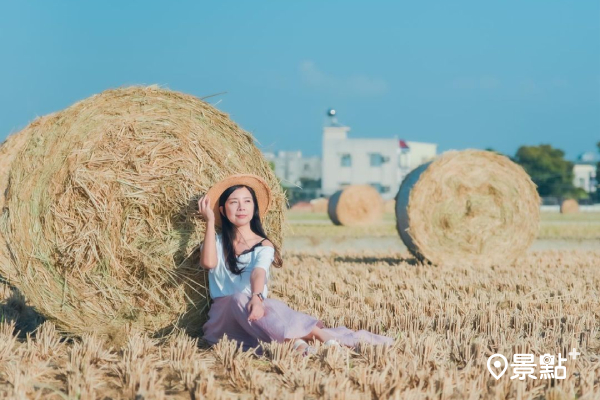 稻草捲美拍時間來了！大型捲心酥農村期間限定美景