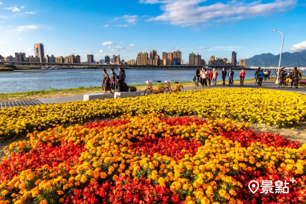 延平河濱公園大稻埕碼頭附近，7萬多盆草花已盛開。