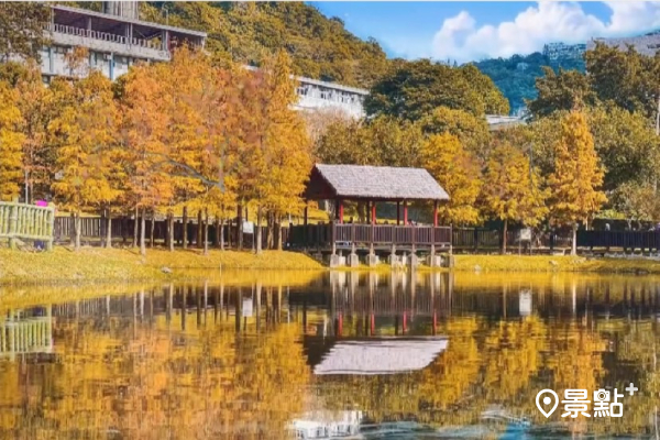 都市藏落羽松水岸秘境！原住民文化主題公園原民浮雕好有特色