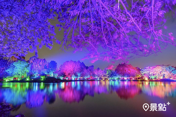 衛武營湖畔夜光森林的獨特美景 (圖／shun_0707)