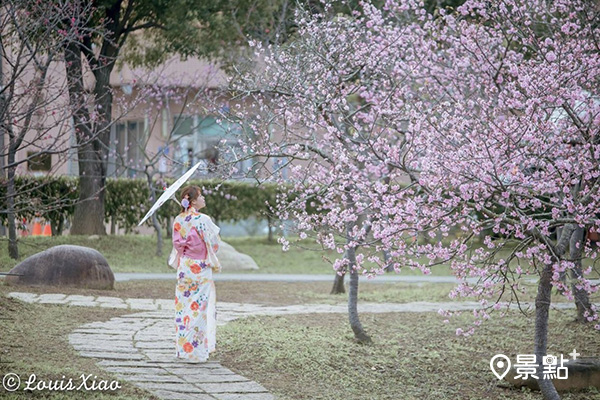 崴立櫻花公園櫻花悄悄綻放。(圖／aaa123471、louisxiao888，以下同)