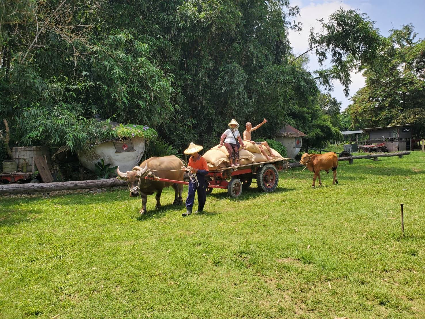 遊客還可以在這體驗傳統農村生活 (圖／頂菜園鄉土館)