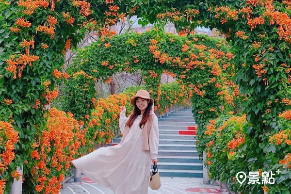 歐風花園拱門炮仗花海！特色親子公園走春超應景