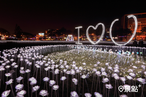 玫瑰花海美照（夜間） (圖／台南市政府，以下同)