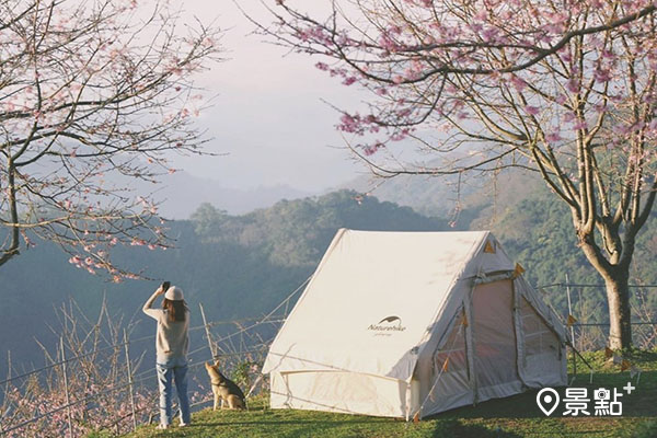 司馬限露營區以櫻花與雲海的遼闊美景為名。