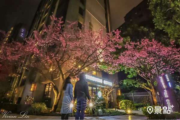 夜晚的櫻花星巴克更有一種浪漫風情。（圖／vivian611027)