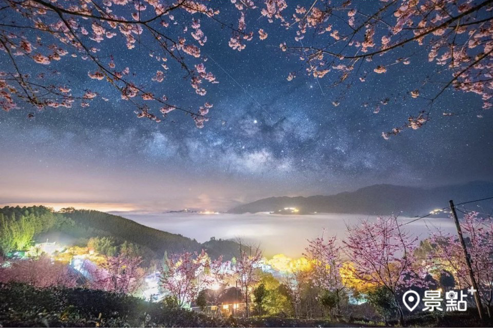 今年山上人家櫻花季於2月18日到3月10日。 (圖／tw.lian_yu)