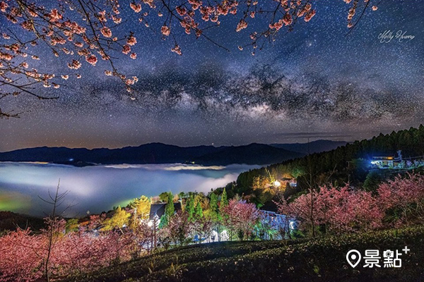 櫻花與銀河雲海的組合美景不似在人間。(圖／molly888666)