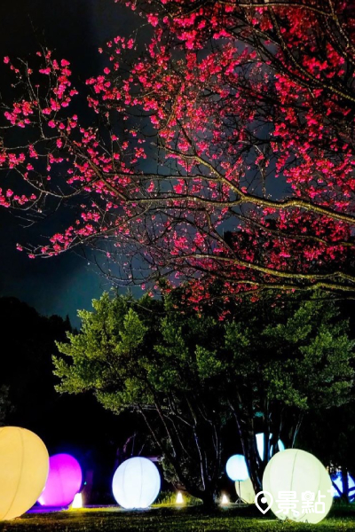 還有櫻花搭配充滿魔幻氣氛的藝術季 (圖／yuki.lin.18)
