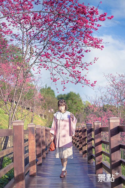 櫻花景觀步道位在A棟的後山坡上 (圖／yingying_twcosplay)