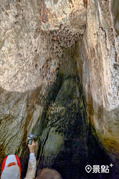 左方洞口較大頂端棲息成千上萬的蝙蝠