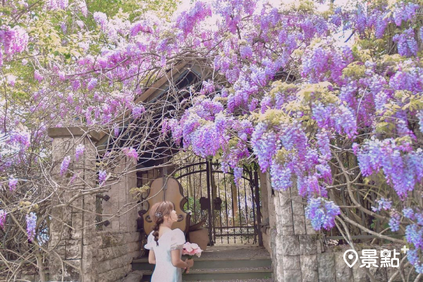 每年3月，城堡會被美麗的紫藤花海包圍。