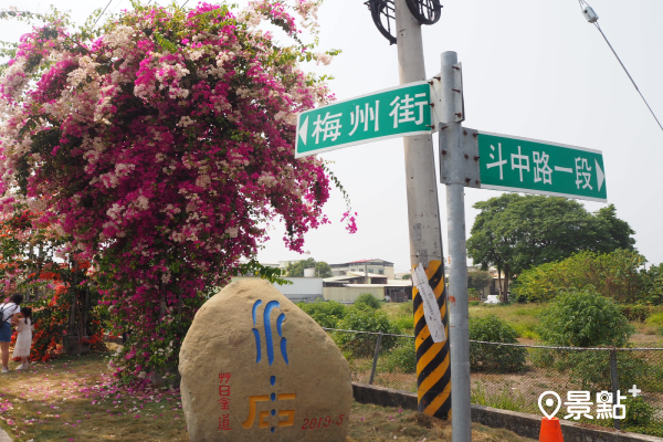 田中九重葛花瀑位於彰化田中斗中路一段與梅州街交叉口。(圖／cheriechang1217)