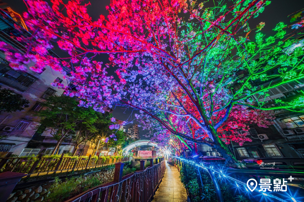 希望之河櫻花活動特別以夜間LED燈光營造充滿浪漫的夜櫻廊道