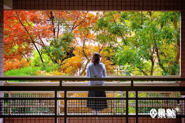 秒飛日本京都紅葉畫框美景！春日校園意外療癒樹景風光