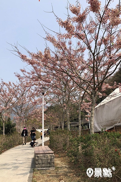 寶來花賞溫泉公園。 (圖／andy_huang_ig)