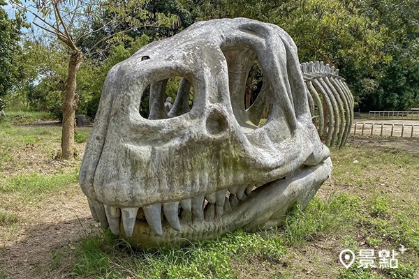 公園草皮上出現巨大恐龍骨骸。(圖／myis_wen,下同)