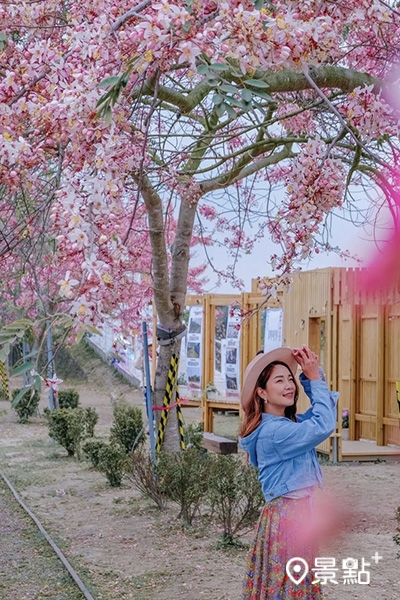 金砂三月櫻野餐季除了賞花，周邊還有不少活動、裝置可以拍照。 (圖／hannahbabyya)