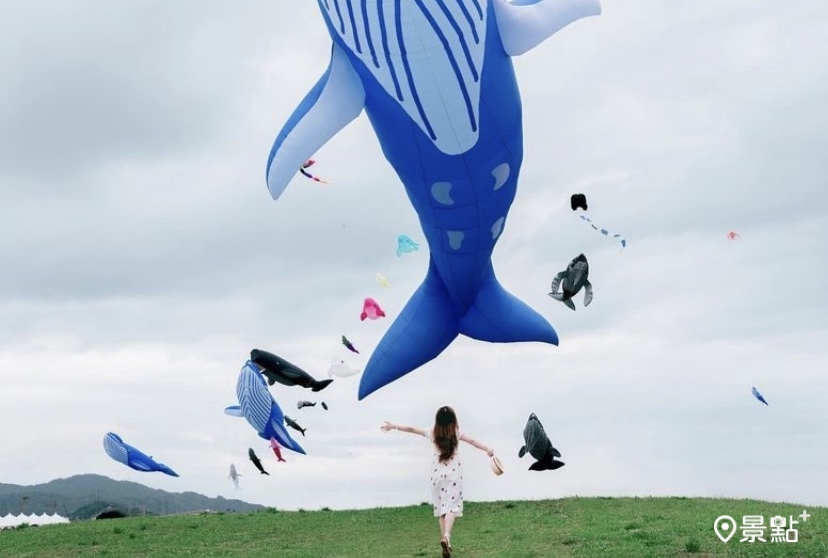 16米藍色大鯨魚空中飛！桃園國際風箏節美照拍不完