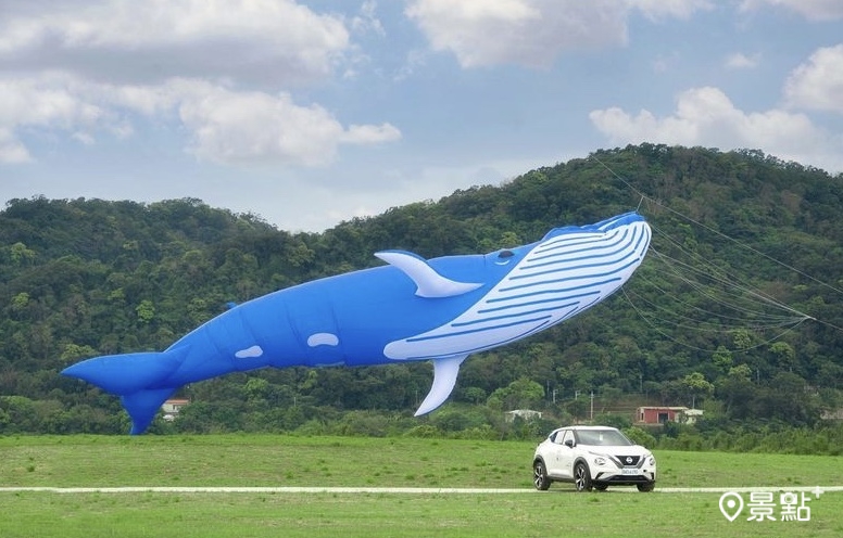 大藍鯨風箏長達16米，十分壯觀！