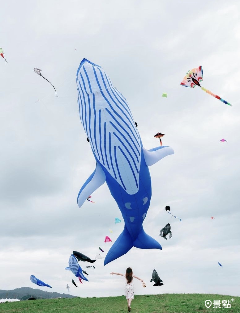 跟大型鯨魚風箏一同合影拍美照，畫面十分難得！