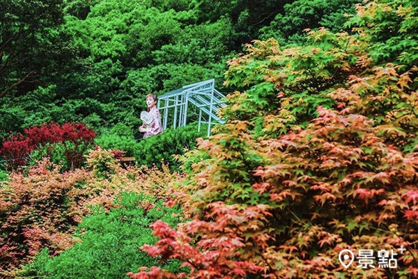 園內有許多造景搭配楓紅和接下來的繡球花季非常浪漫。