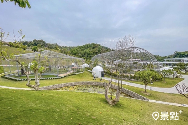 九九峰動物樂園打造亞洲最大鳥類主題動物園。