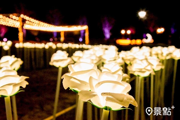 夜遊慈湖水岸光影季設置了千支白玫瑰燈海藝術。(圖／桃園觀光旅遊局，以下同)