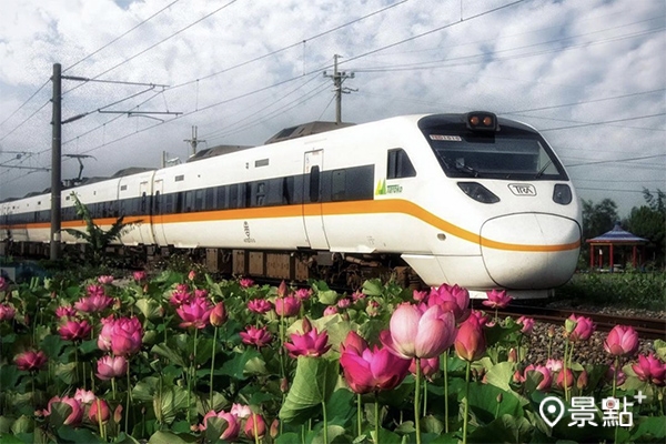 荷花與駛過的列車相映，形成季節限定的美景。（圖／imma_pon）