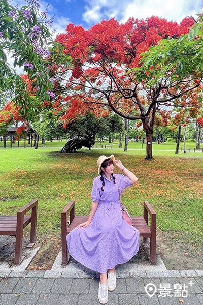 坐在公園椅子上紅色、紫色花朵盛開相襯好愜意。 (圖／s4752147，下同)