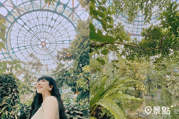 台中植物園的標誌性玻璃天幕超美。 (圖／hsuan_wj，下同)