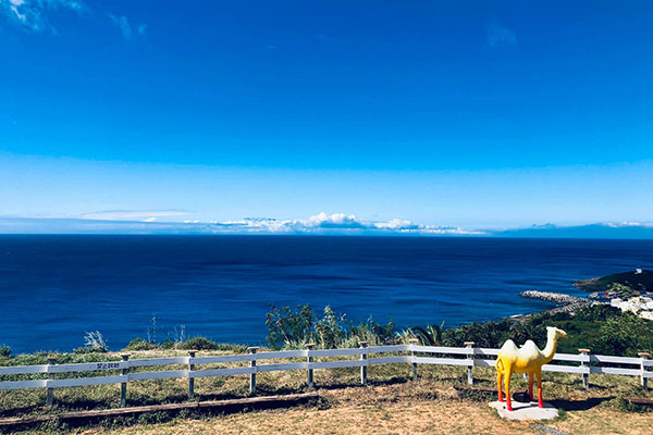 柵欄後就是第一排海景，還可以看到山邊漁港。 (圖／山男咖啡)