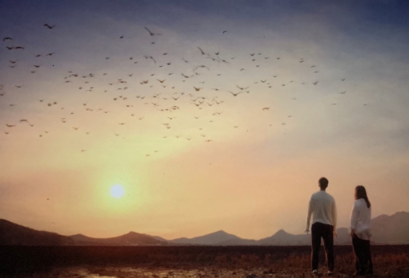 美貞與具先生在遼闊原野上奔跑，天空有鳥群飛翔，場景優美，出自第10集。