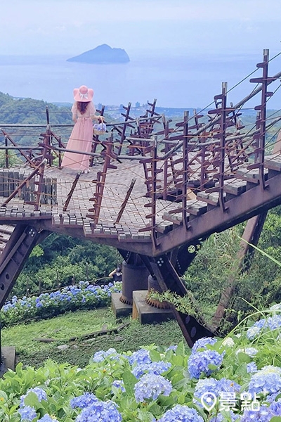 繡球花海包圍的金面棧台，可以看到龜山島無敵海景。