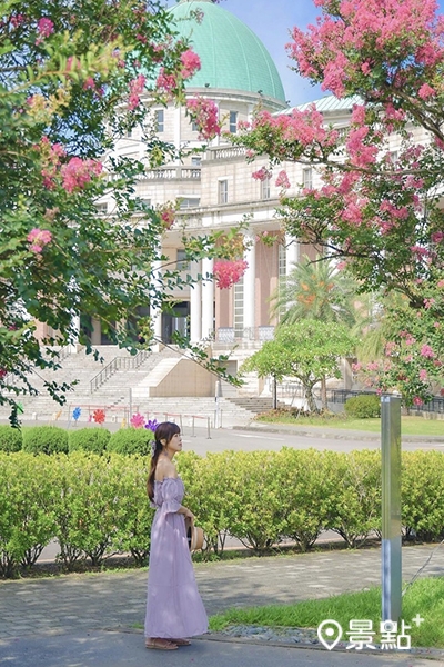 浪漫歐風建築，搭配桃紅色紫薇花海，亞洲大學花景讓人驚艷。