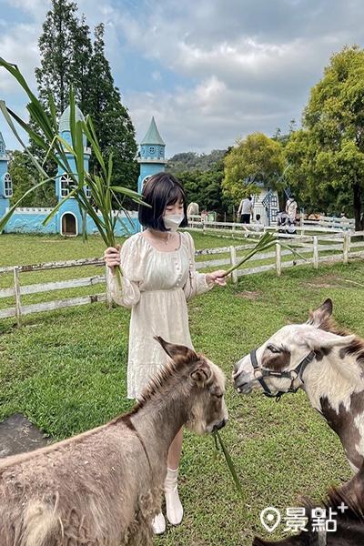 可以換飼料餵食小動物們。(圖／_tu_0529，以下同)