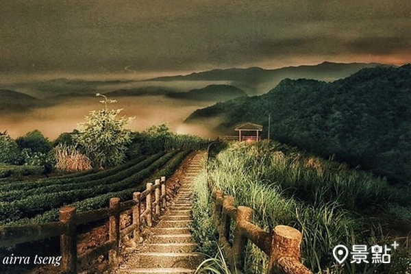 南山寺步道雲海觀賞點，可以將整片山巒與茶園的景色盡收眼底。（圖／airratseng）