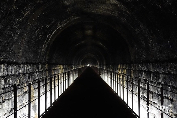 生態共生燈光作為隧道內光亮來源，並架高棧道。