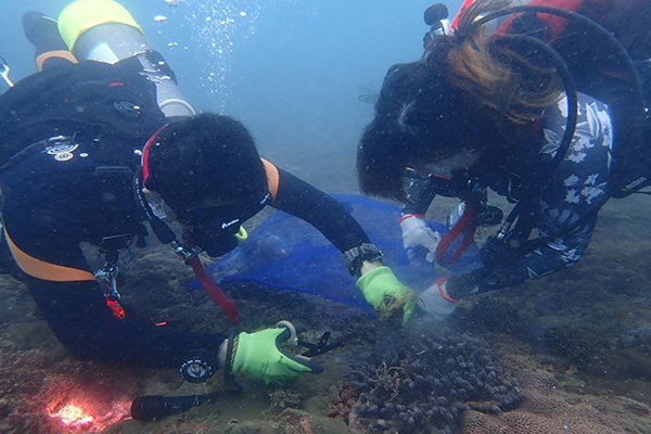 島嶼生態家活動和教練一起替海洋大掃除。（圖 / 國立海洋大學）
