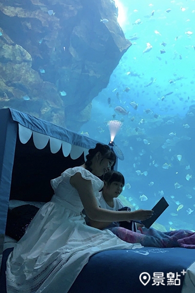Blu Night宿海奇遇夜宿體驗直接睡在大水箱藍色景緻裡，畫面奇幻動人。（圖 / 景點+ 張盈盈）