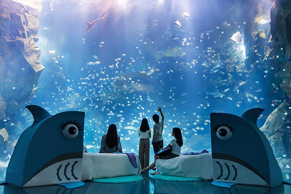 COZZI Blu和逸飯店桃園館與X Park打造最美夜宿水族館體驗「Blu Night宿海奇遇」。（圖 / COZZI blu和逸飯店）