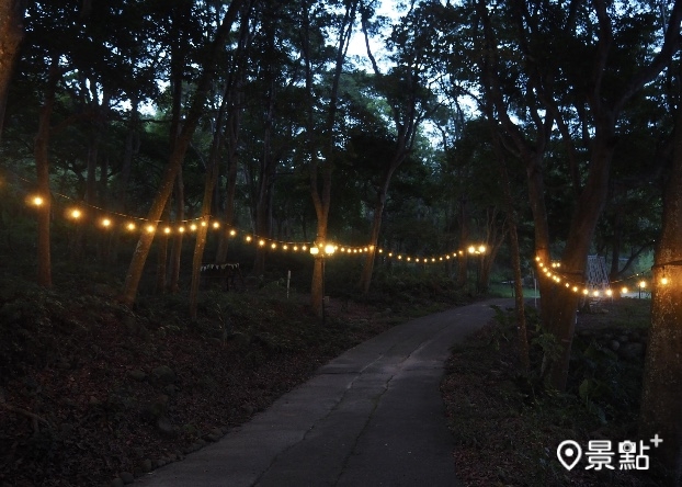 夜間露營串燈亮起，山林寂靜的氛圍引人入勝。
