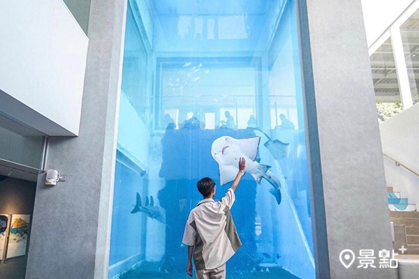 潮境智能海洋館的七米巨型魟魚缸，是館內熱門打卡景點。(圖／qiuung，下同)