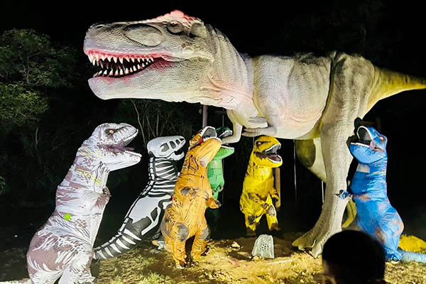 有遊客會自備恐龍裝快閃星光節，畫面十分逗趣。